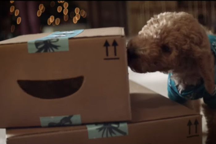 Hund leckt ein Amazon-Paket