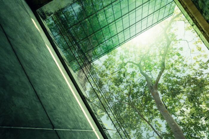 Grüne Strategien: Bäume reflektieren in einem Glasgebäude