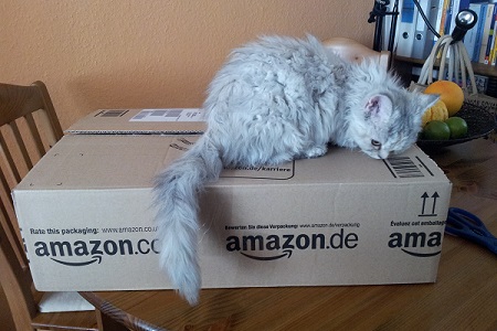 Katze auf Amazon-Karton