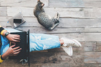 Homeoffice: Mitarbeiterin sitzt mit Laptop und Katze auf dem Fußboden